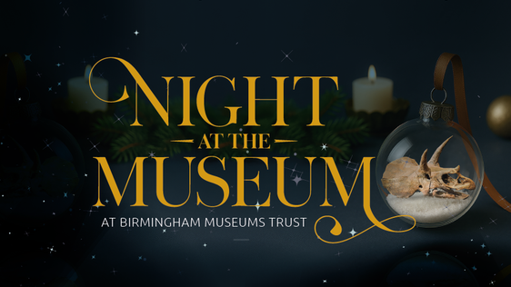 Graphic that reads 'Night at the Museum at Birmingham Museums Trust' along side a bauble with a triceratops skill inside.